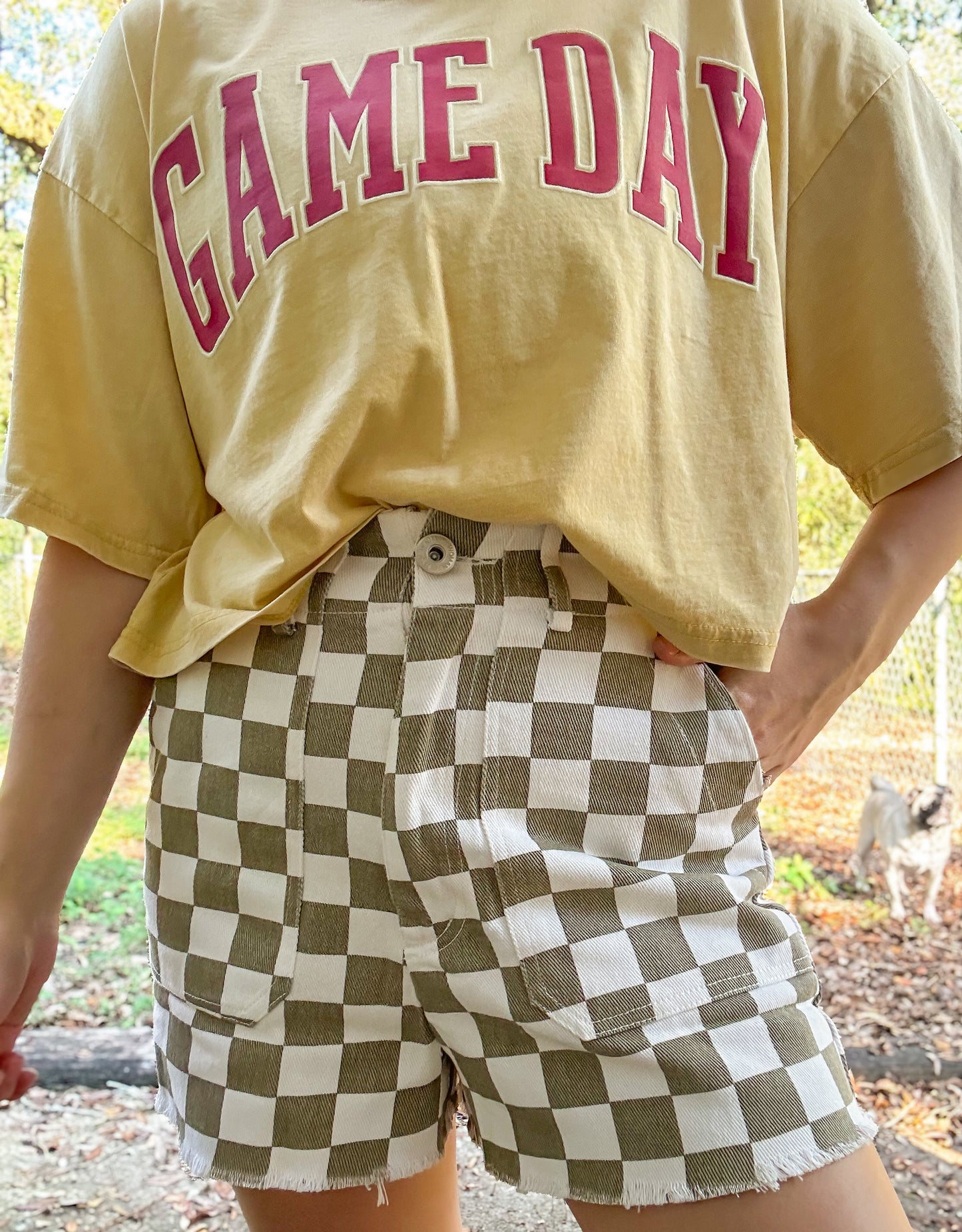 Checkered Shorts