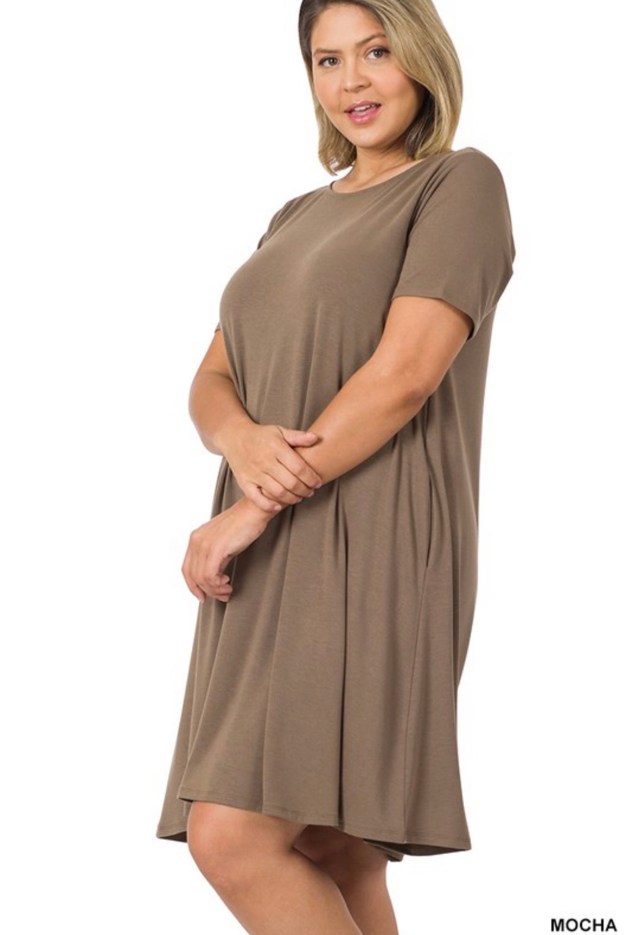 BAYE Plus Short Sleeve Flared Dress with Pockets